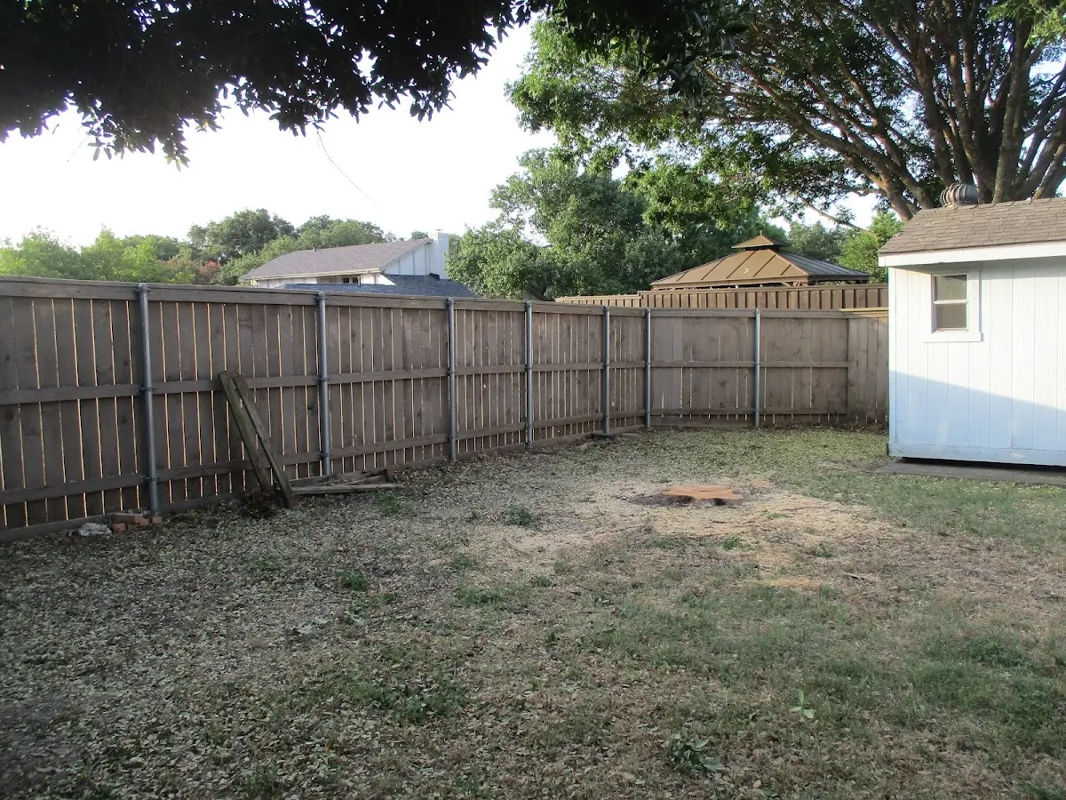 Cleared yard after professional tree removal in Mifflin
